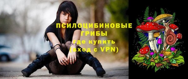 ПСИЛОЦИБИНОВЫЕ ГРИБЫ Алексеевка