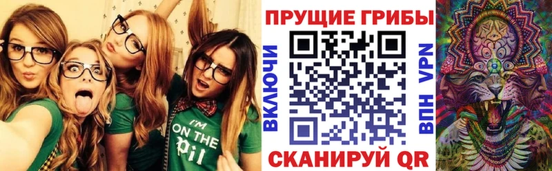продажа наркотиков  Ливны  Галлюциногенные грибы Cubensis 